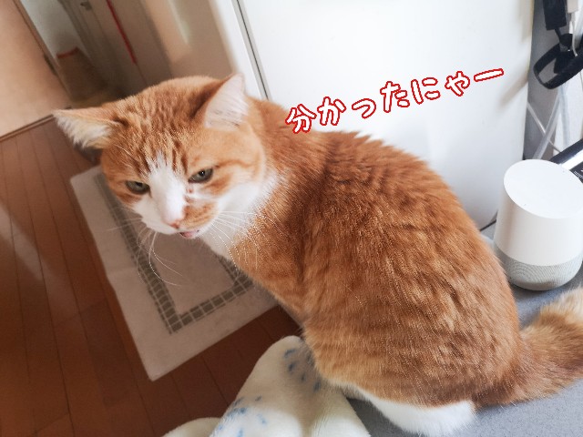 f:id:JuneNNN:20210329095908j:plain