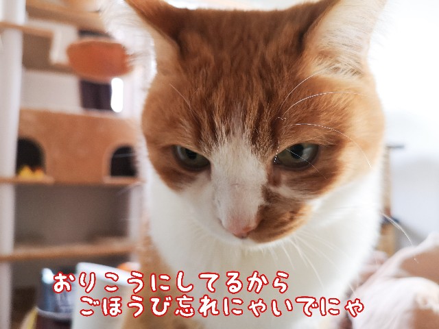 f:id:JuneNNN:20210329095920j:plain