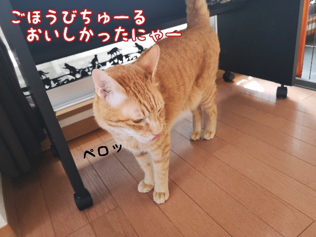 f:id:JuneNNN:20210329095934j:plain