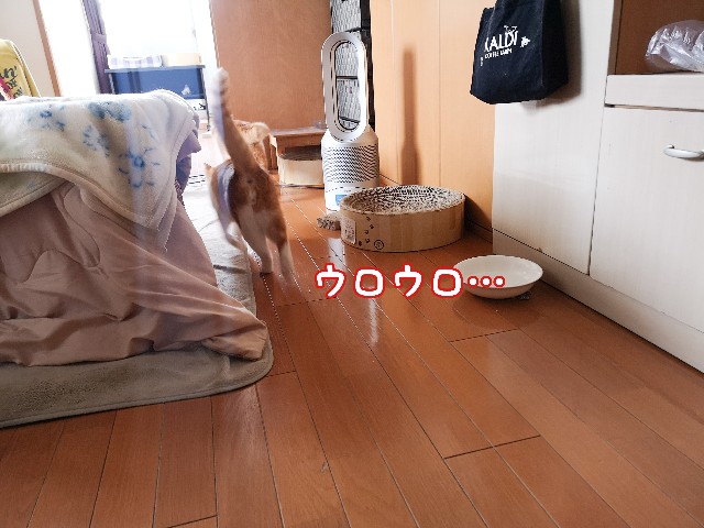 f:id:JuneNNN:20210405132848j:plain