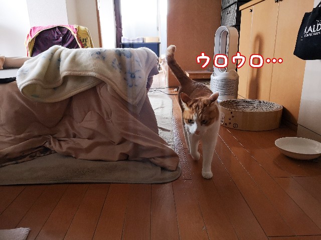f:id:JuneNNN:20210405132902j:plain