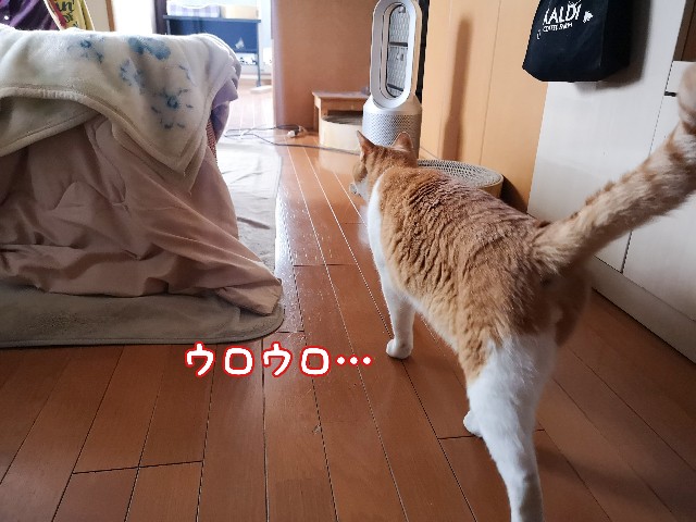 f:id:JuneNNN:20210405132914j:plain