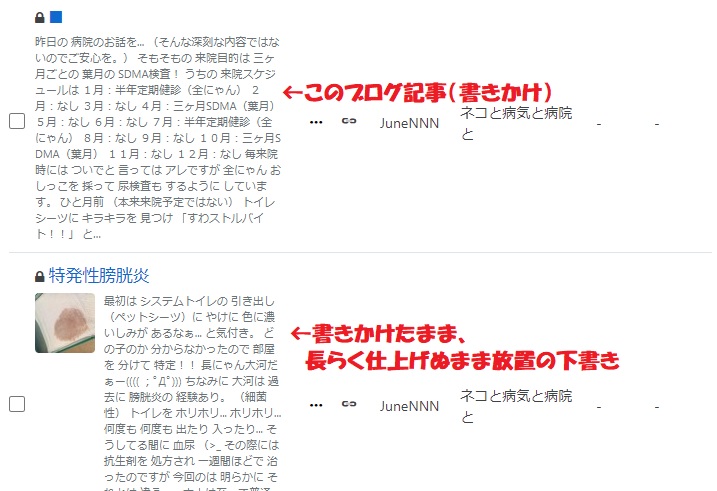 f:id:JuneNNN:20210420112814j:plain