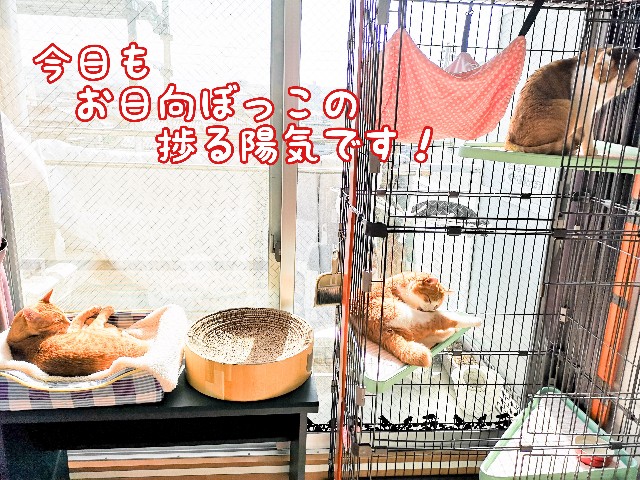 f:id:JuneNNN:20210420120321j:plain