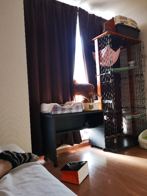 f:id:JuneNNN:20210503120839j:plain