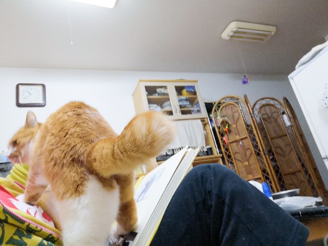 f:id:JuneNNN:20210531140820j:plain