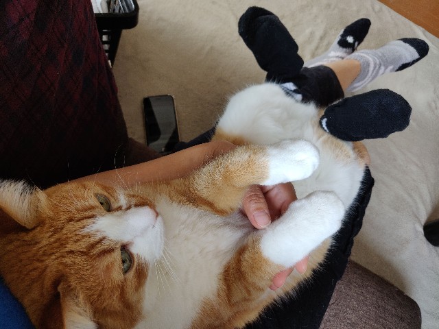 f:id:JuneNNN:20210607140003j:plain