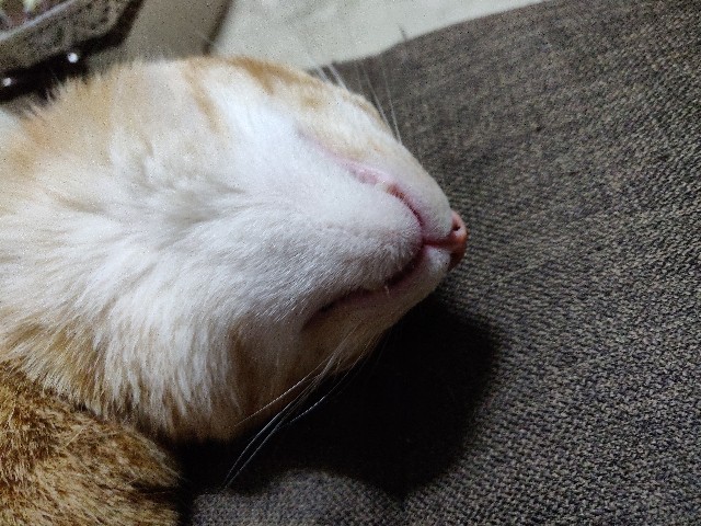 f:id:JuneNNN:20210610134810j:plain