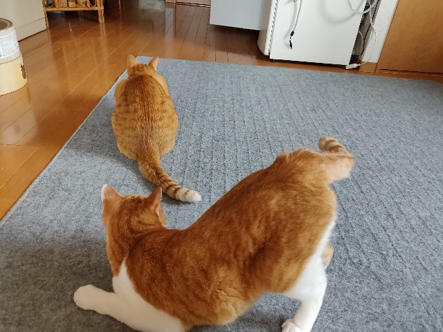 f:id:JuneNNN:20210611121822j:plain