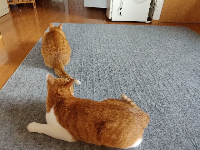 f:id:JuneNNN:20210611121849j:plain