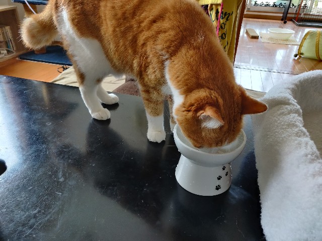 f:id:JuneNNN:20210614132700j:plain