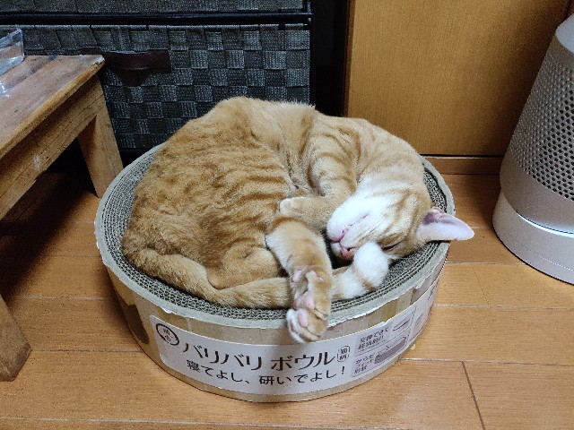 f:id:JuneNNN:20210614132707j:plain