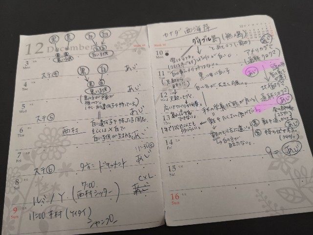 f:id:JuneNNN:20210623123822j:plain