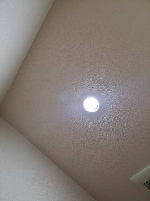 f:id:JuneNNN:20210626130422j:plain