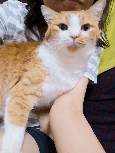 f:id:JuneNNN:20210626132728j:plain