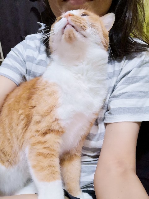 f:id:JuneNNN:20210626132737j:plain