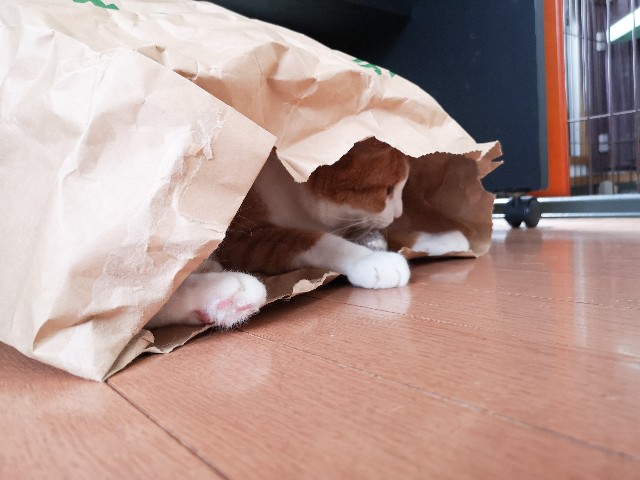 f:id:JuneNNN:20210702144230j:plain