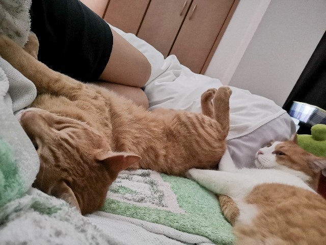 f:id:JuneNNN:20210702144240j:plain