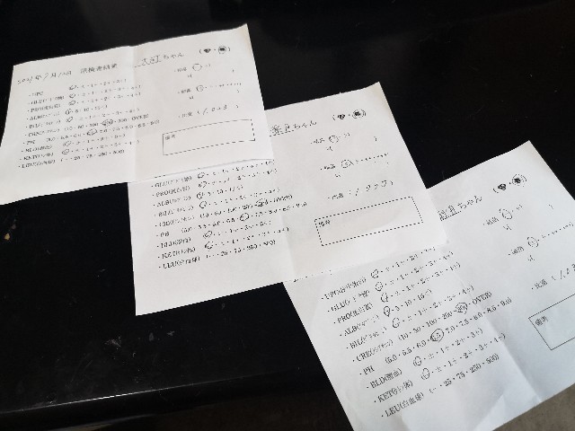 f:id:JuneNNN:20210713110449j:plain