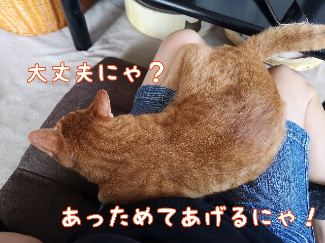 f:id:JuneNNN:20210714113222j:plain