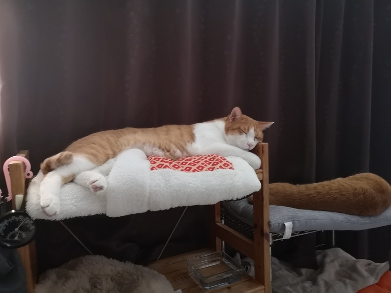 f:id:JuneNNN:20210724114543j:plain