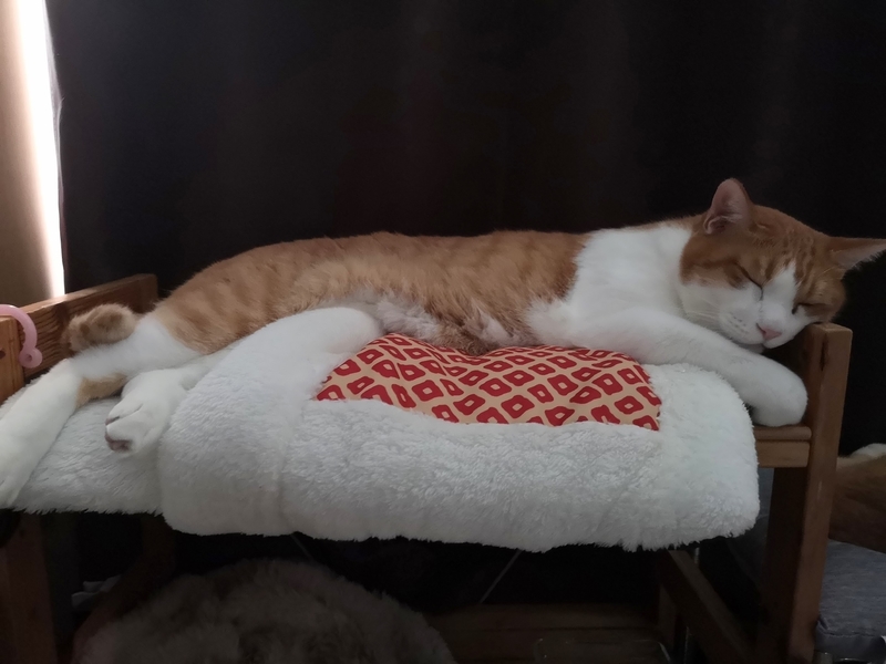 f:id:JuneNNN:20210724114716j:plain