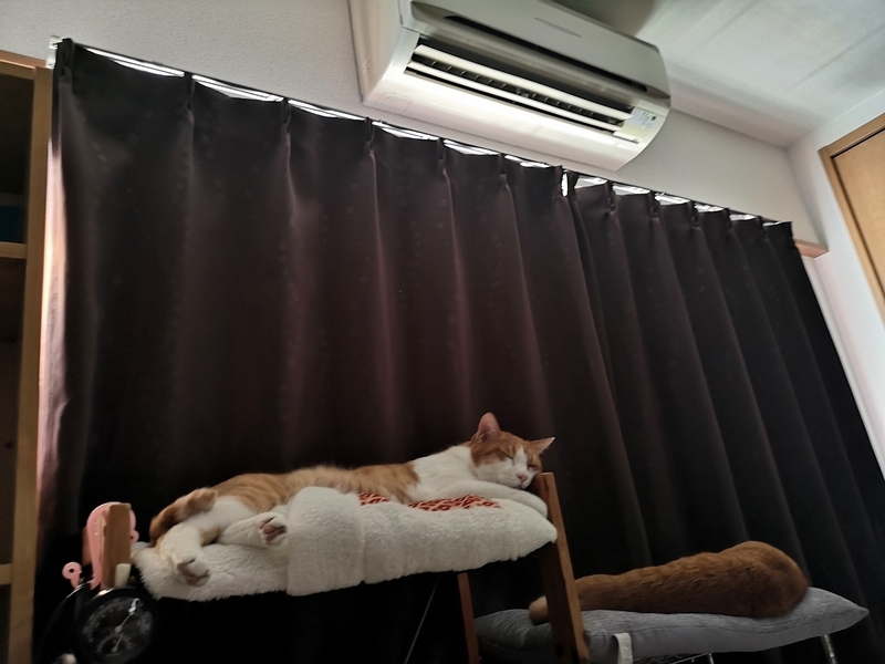 f:id:JuneNNN:20210724114818j:plain