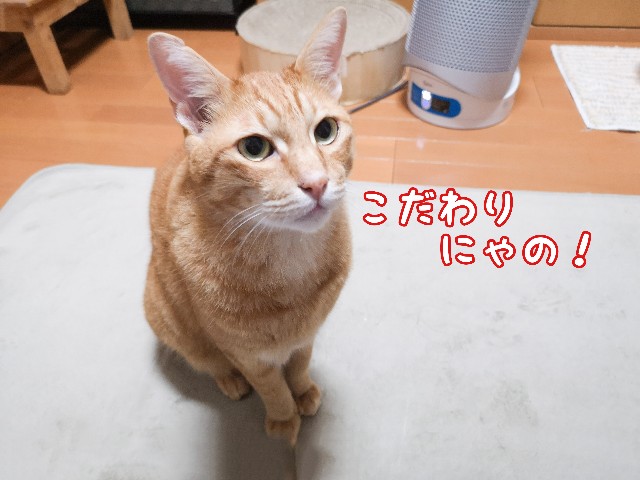f:id:JuneNNN:20210822112255j:plain