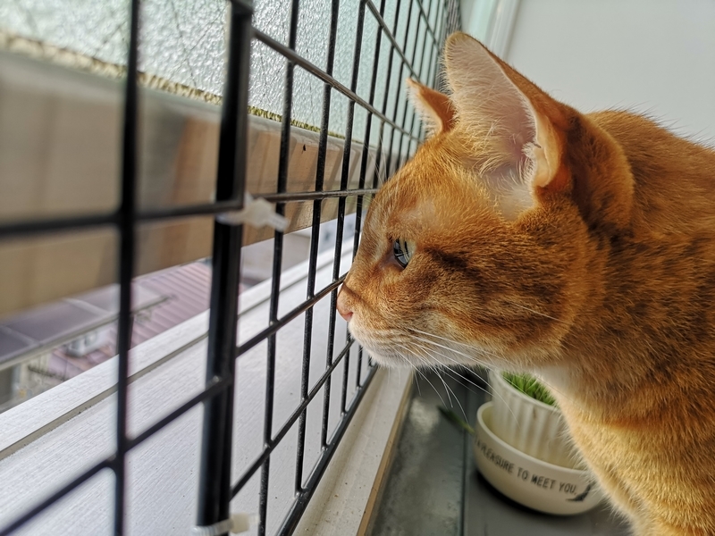 f:id:JuneNNN:20210920111042j:plain