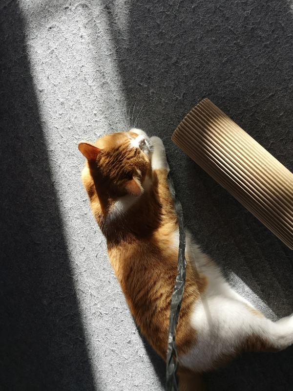 f:id:JuneNNN:20210930135517j:plain