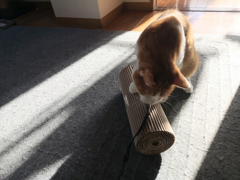 f:id:JuneNNN:20210930140325j:plain