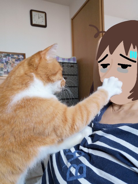 f:id:JuneNNN:20210930143543j:plain