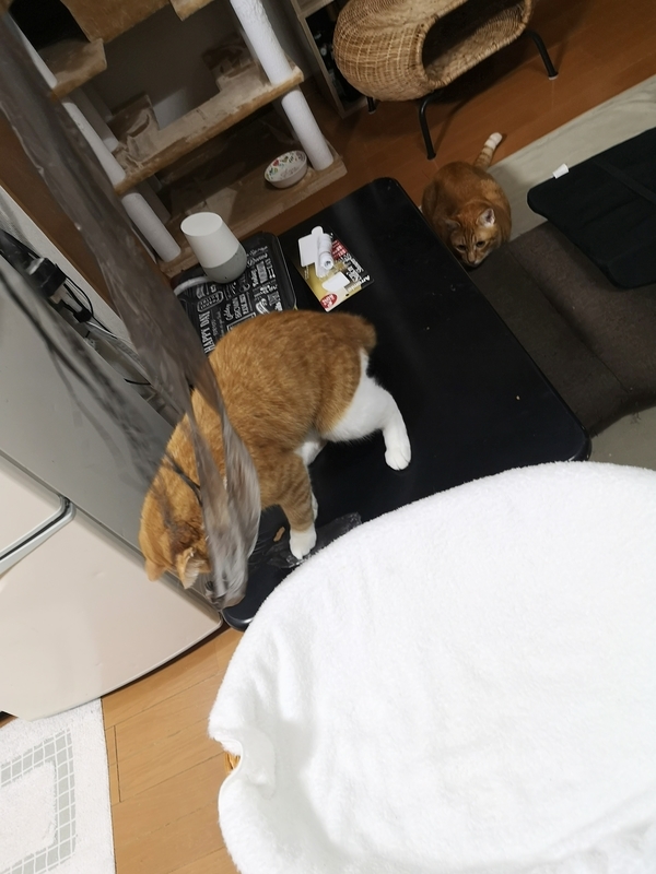 f:id:JuneNNN:20211015140029j:plain