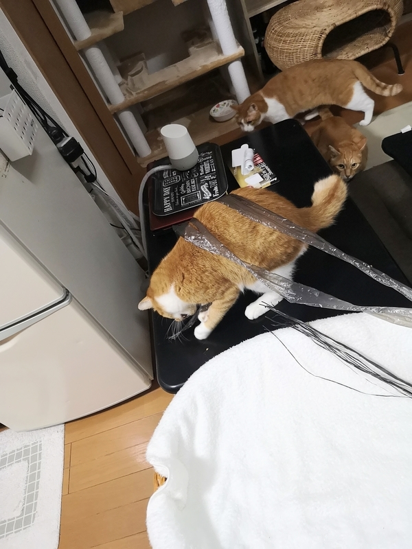 f:id:JuneNNN:20211015140039j:plain