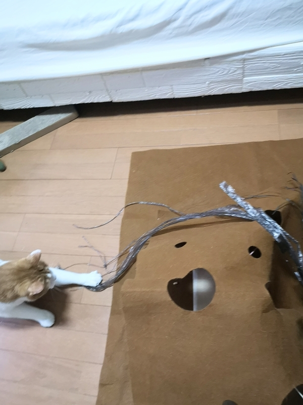 f:id:JuneNNN:20211015140129j:plain