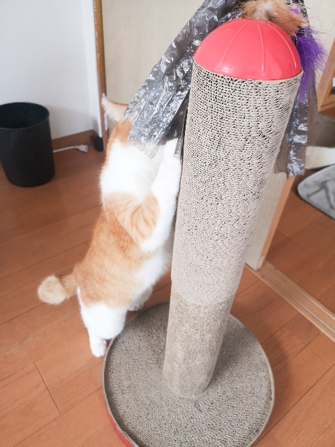 f:id:JuneNNN:20211022120028j:plain