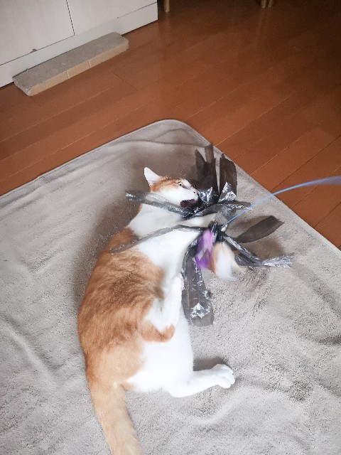 f:id:JuneNNN:20211022120041j:plain