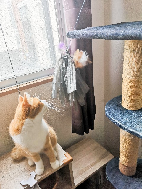 f:id:JuneNNN:20211022120050j:plain