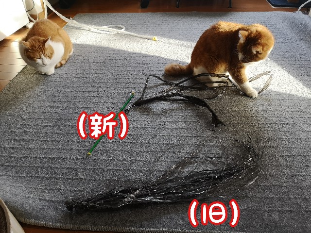 f:id:JuneNNN:20211022120103j:plain