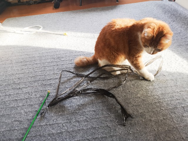 f:id:JuneNNN:20211022120149j:plain