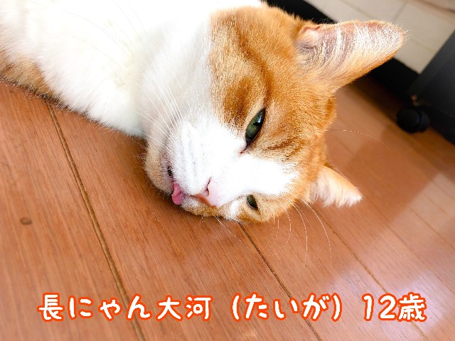f:id:JuneNNN:20211022124109j:plain
