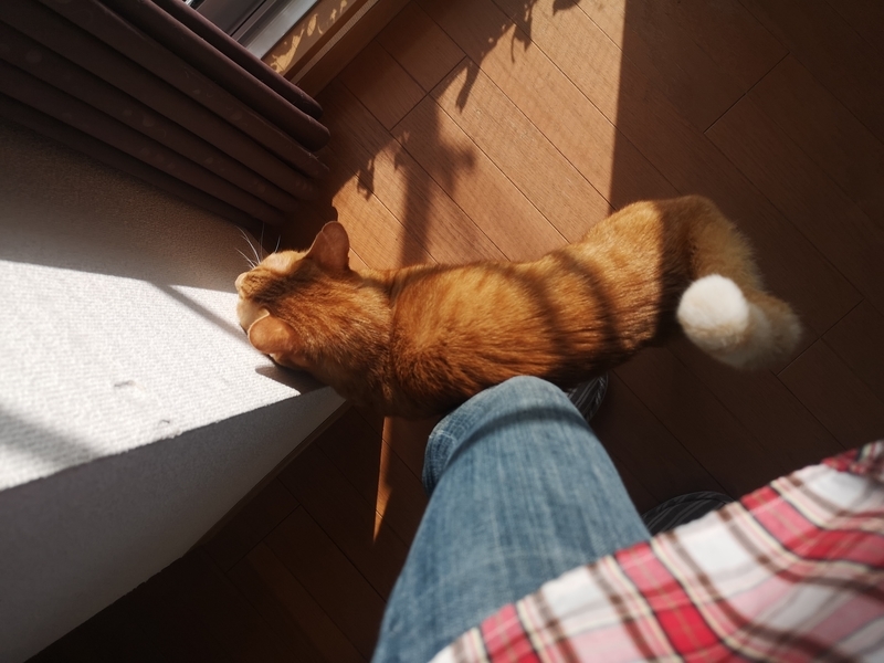 f:id:JuneNNN:20211028111031j:plain