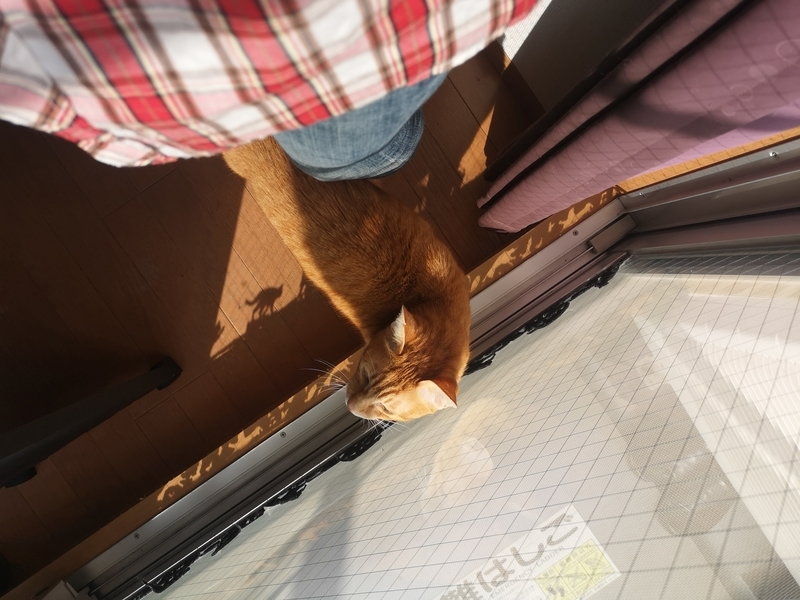 f:id:JuneNNN:20211028111110j:plain