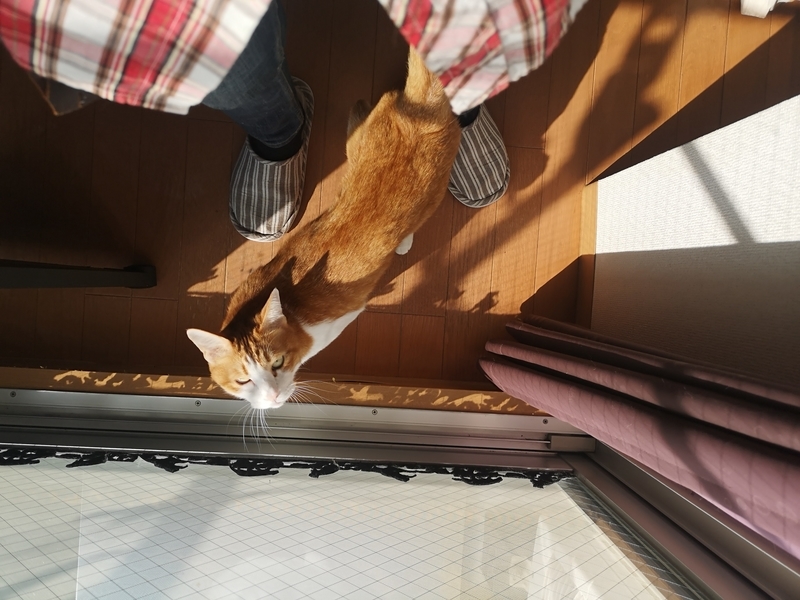 f:id:JuneNNN:20211028111158j:plain