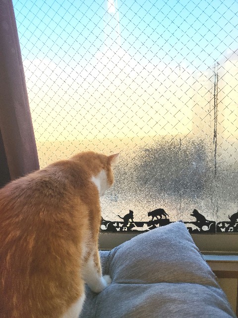 f:id:JuneNNN:20211113123206j:plain