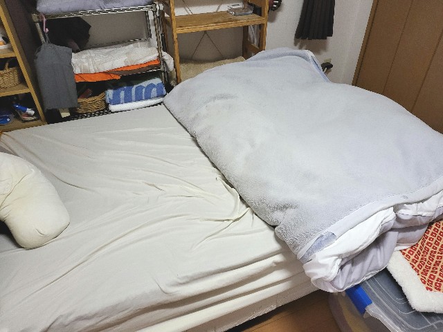 f:id:JuneNNN:20211113123444j:plain