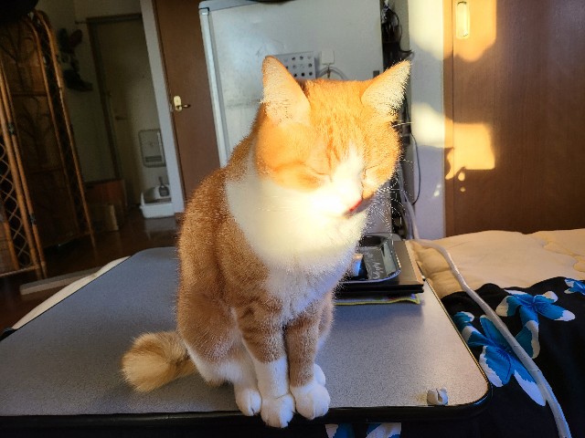 f:id:JuneNNN:20211113123740j:plain