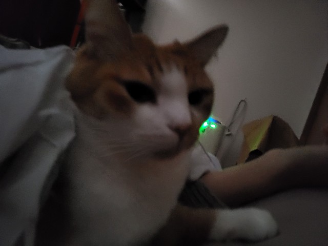 f:id:JuneNNN:20211120123009j:plain
