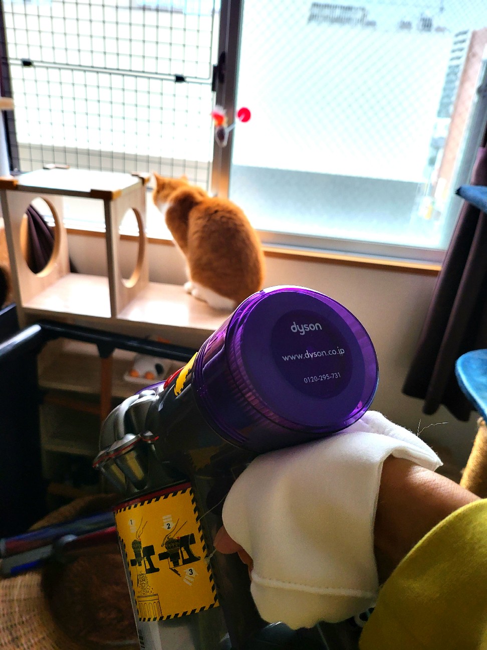 f:id:JuneNNN:20211201114323j:plain