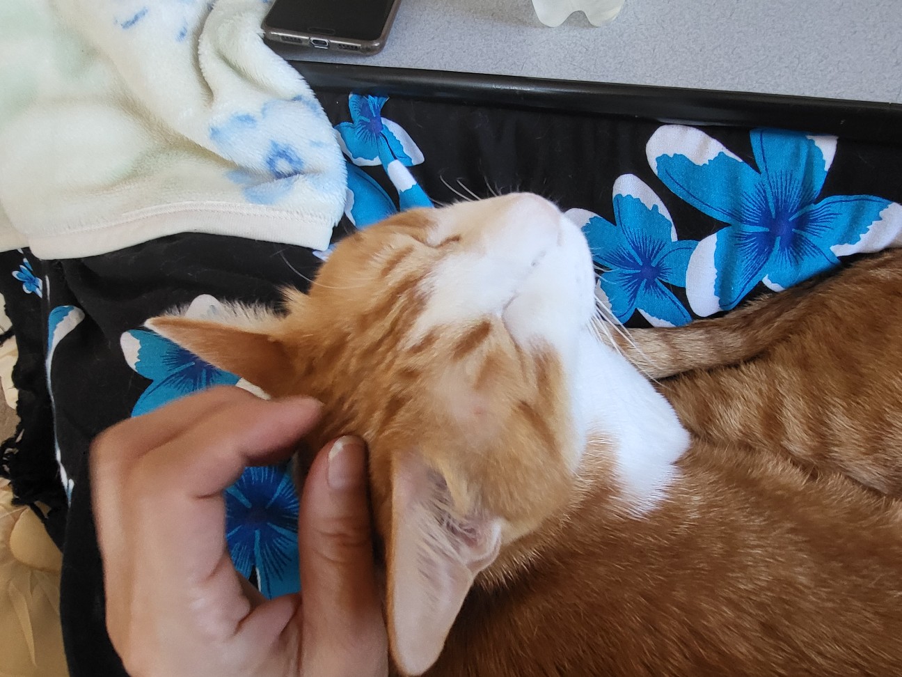 f:id:JuneNNN:20211201114453j:plain